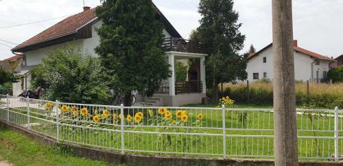 Apartmani Ricci R 1