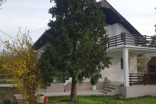 Apartmani Ricci R 2