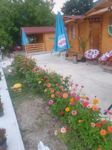 Cabanutele La Denisa