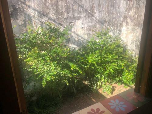 Casinha Centro Hist�rico
