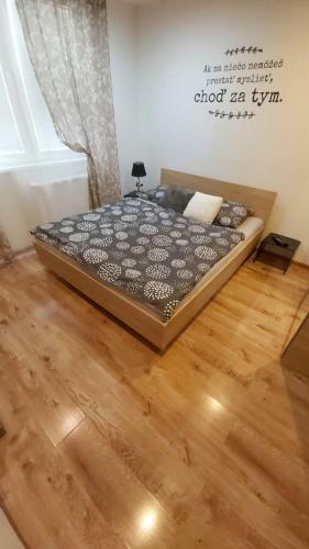 Apartm�n Ne?aleko Centra Mesta