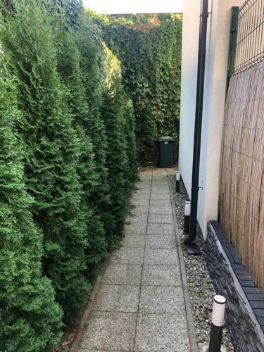 Apartm�n V Centre Michaloviec