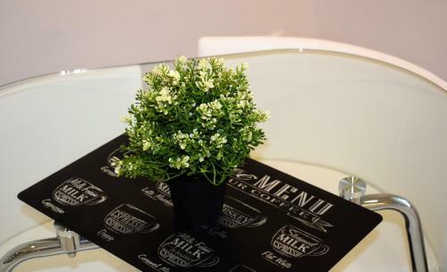 Center City Apartment
