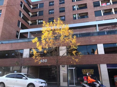 Apartamento Departamento Amoblado de 1 Dorm. Zona Patio Olmos