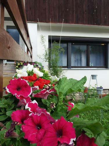 Hostal Privat Tatry Dreams