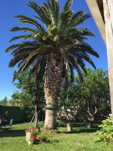 Bed & Breakfast Chez Marydidou : Chambres D'h�tes