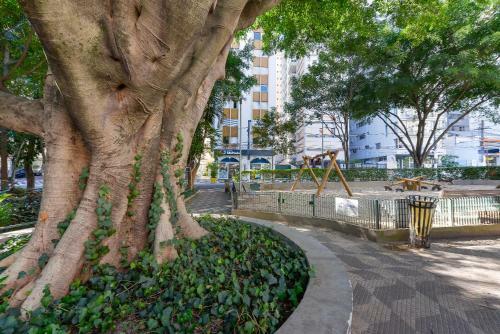 Lindo Apartamento No Cora��o de Higien�polis