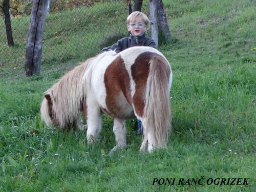 Apartamento Eko Poni Ran? Ogrizek