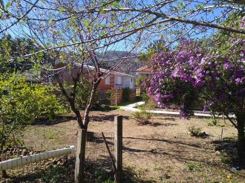 Hostal Hospedaria V� Schutz 2