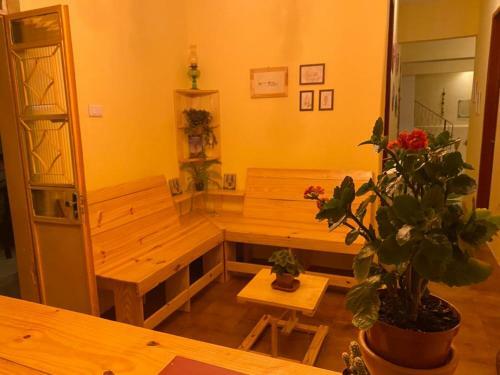 Hostel Paje�