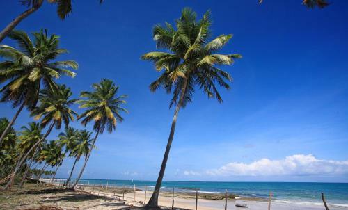 Apartamento Flat Luxo 1 Quarto - Praia Dos Carneiros