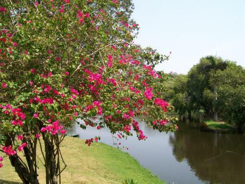 Ch�cara Eco-resort Canto Dos P�ssaros