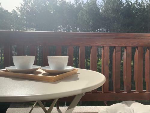 Ns In Apartman Zlatibor
