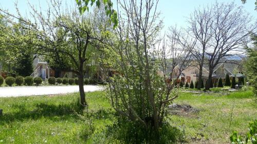 Apartamento Zlatiborska ?urka