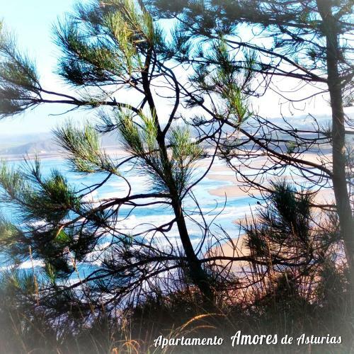 Apartamento Amores de Asturias
