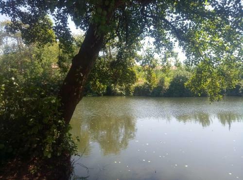 Apartamento Piso C�ntrico, Soleado Y Espacioso