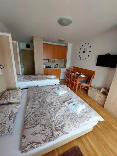 Zlatibor Apartman 69