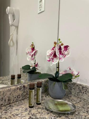 Apartamento Flat Home Experience Praia Do Canto