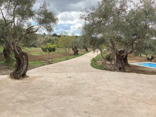 Alojamiento Rural El Olivar