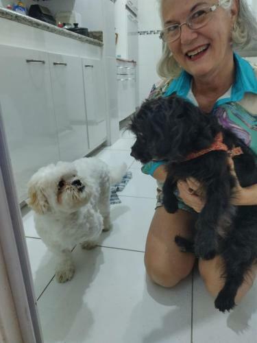 Quarto Com Frigobar Tr�s Quadras Mar Aceita Pets