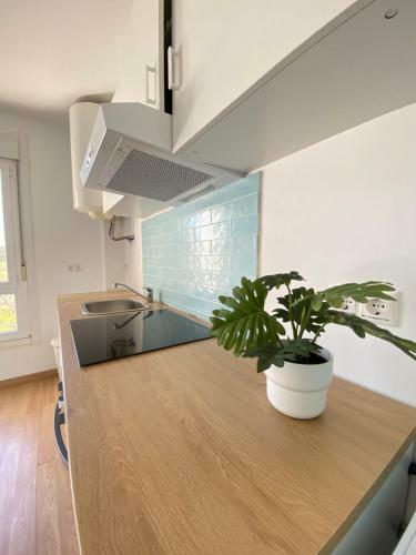 Apartamento Indigo