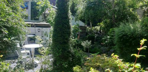 Cozy Carbence Cottage