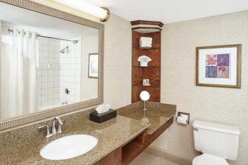 Hotel Holiday Inn Allentown Lehigh Valley