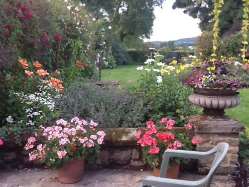 Bed & Breakfast Swan Cottage