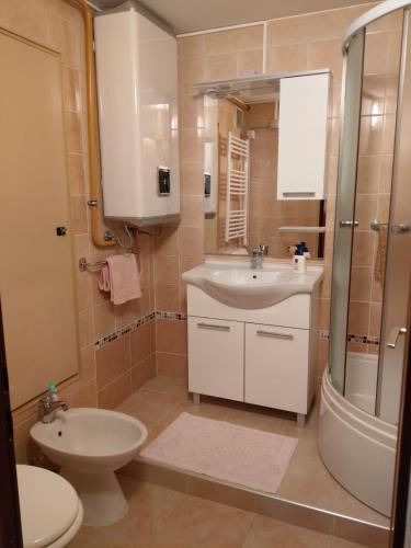 Apartment Koruna 1
