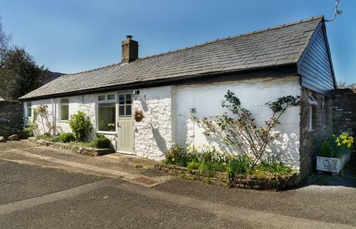 The Neuadd Cottages