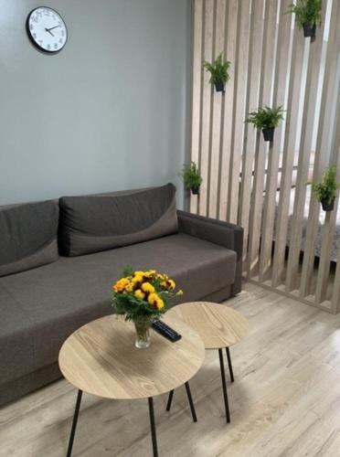 Babylon Apartments On Vidinska 41