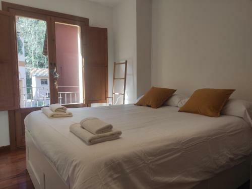 Apartamento El Floc de Neu - Camprodon