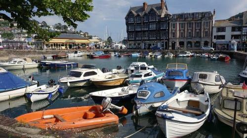 2 Dartview - Close To The Water, River Views, Ground Floor Access