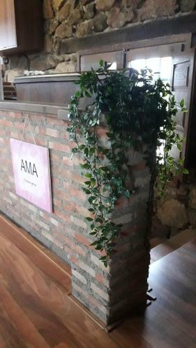 Agroturismo Casa Rural Las Pilas