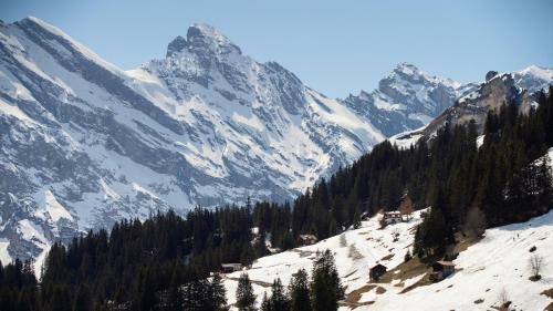 Hotel Sportchalet M�rren