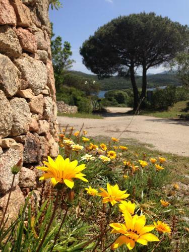 Apartamento Conca Verde