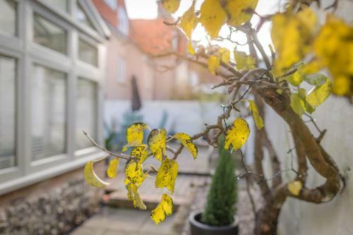 Apartamento Shipside - Spacious, Stylish Patio Garden Flat