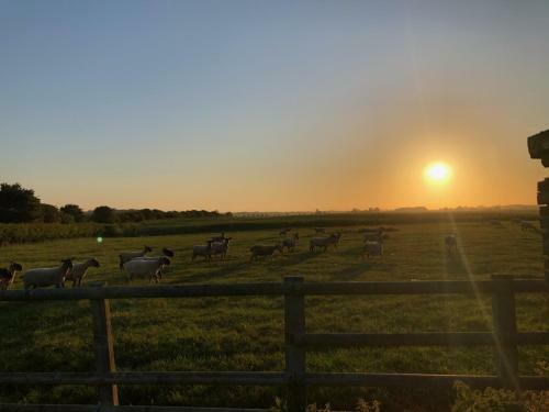 The Shepherds Retreat - Luxury Shepherds Hut