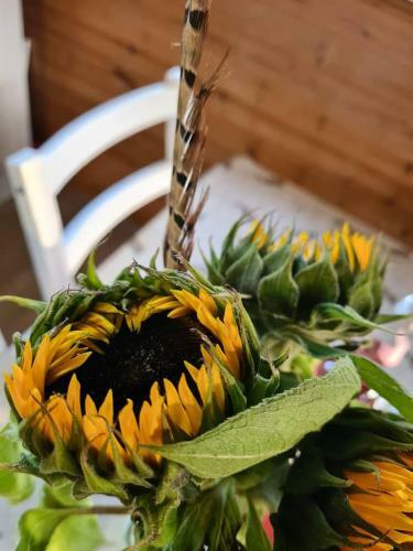 Lakeside Swallow Lodge - Private Hot Tub