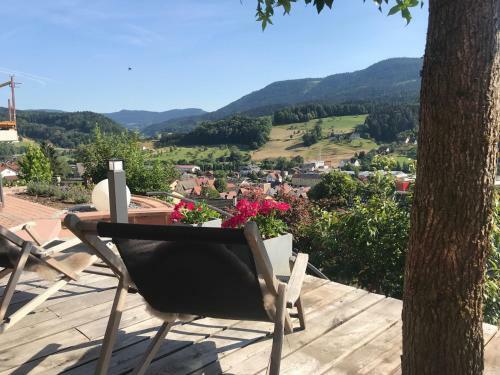 Apartamento Schwarzwald Lodge Oppenau