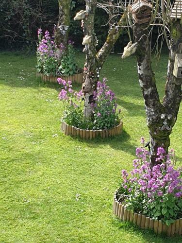 Richlands Homestay