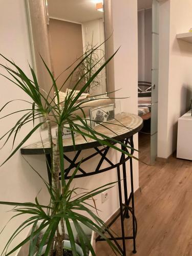 Apartamento Ferienwohnung Am Inn Passau