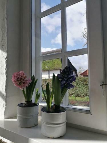 Apartamento Alte Stellmacherei - Ferienwohnung 1