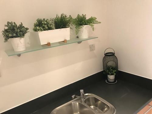 Luxury 2 Bed Apartment
