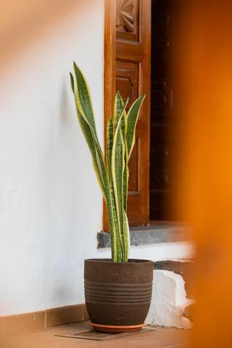 Guanapay Home, En El Centro de Teguise