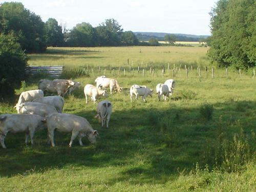 Bed & Breakfast La Grande Vesvre