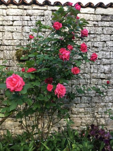 Bed & Breakfast Logis De Guitres - Chambres D'hotes