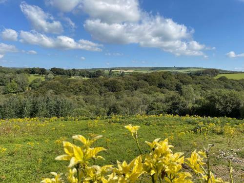 Woodhall