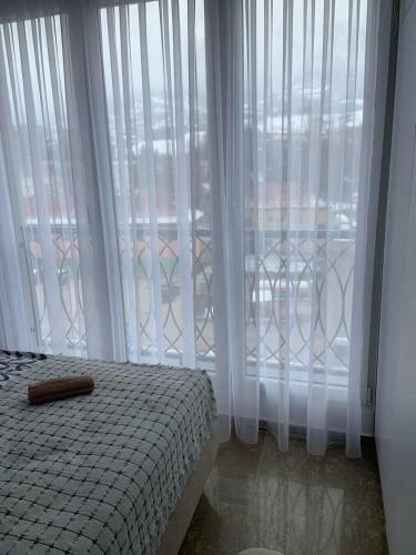 Apartment Aria