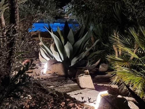 Villa Une Oasis Au Pays de C�zanne